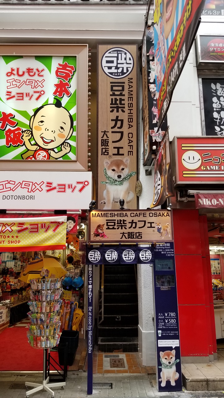 豆柴カフェ大阪店